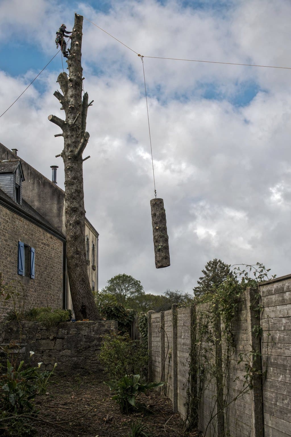 Un tronçon de tronc suspendu à une corde descend entre une maison et une clôture pendant un démontage