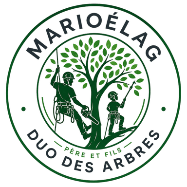 Mario Élag, duo des arbres, père et fils