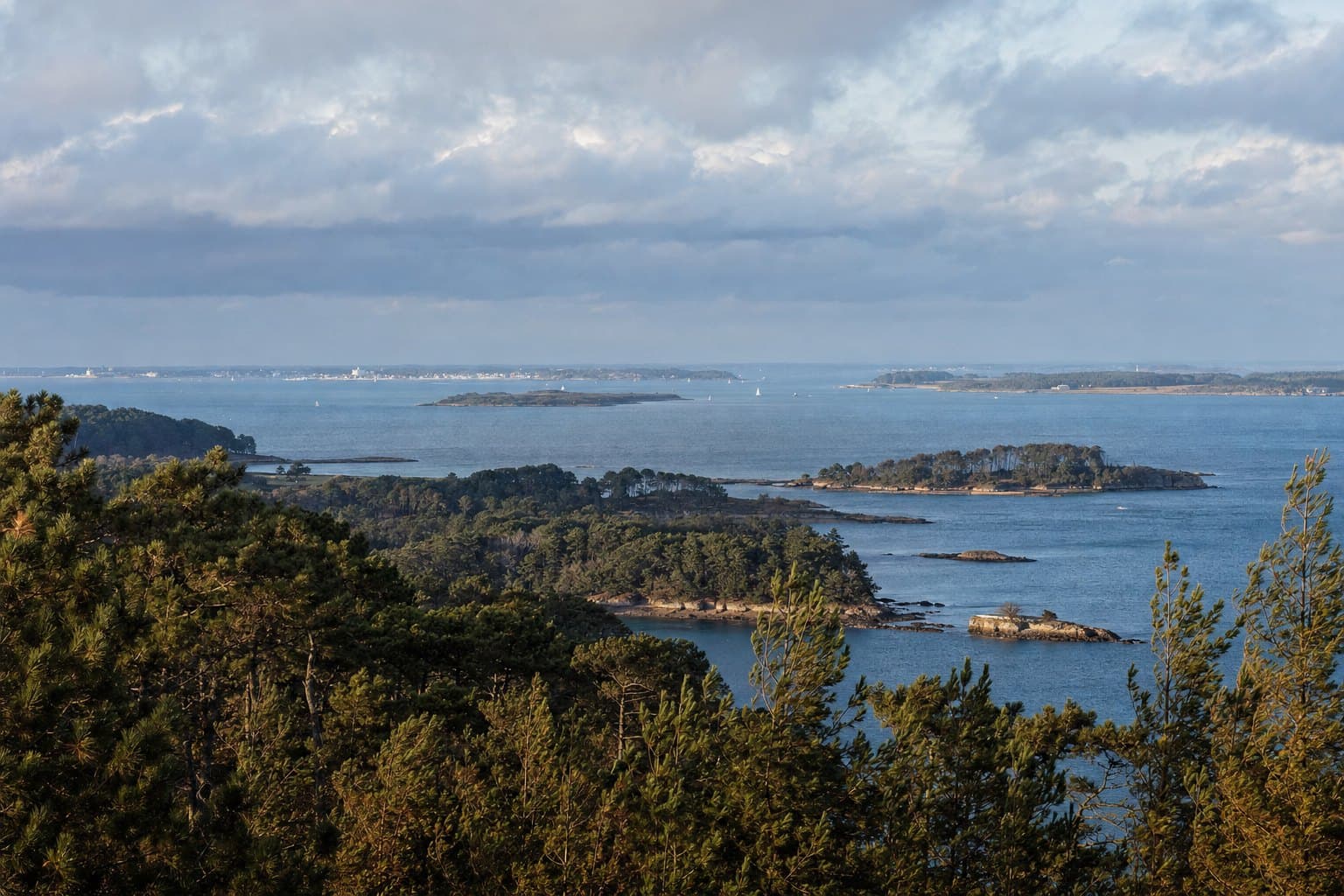 La côte du Morbihan vue depuis une hauteur, pins maritimes au premier plan, rade de Lorient et Groix à l'horizon