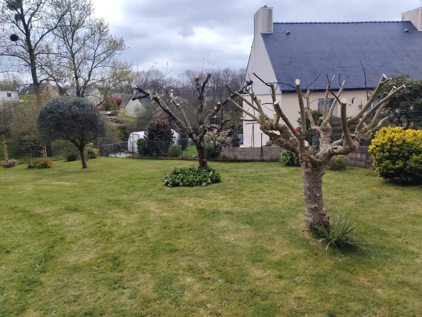 Un jardin breton après passage de Mario Élag : pelouse tondue, arbres fruitiers taillés, maison en pierre
