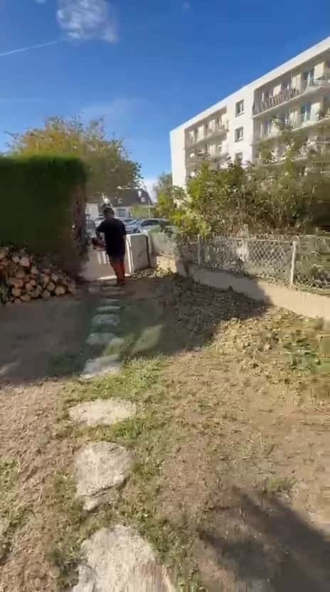 Jardin débroussaillé, pas japonais dégagés et bûches rangées contre la haie