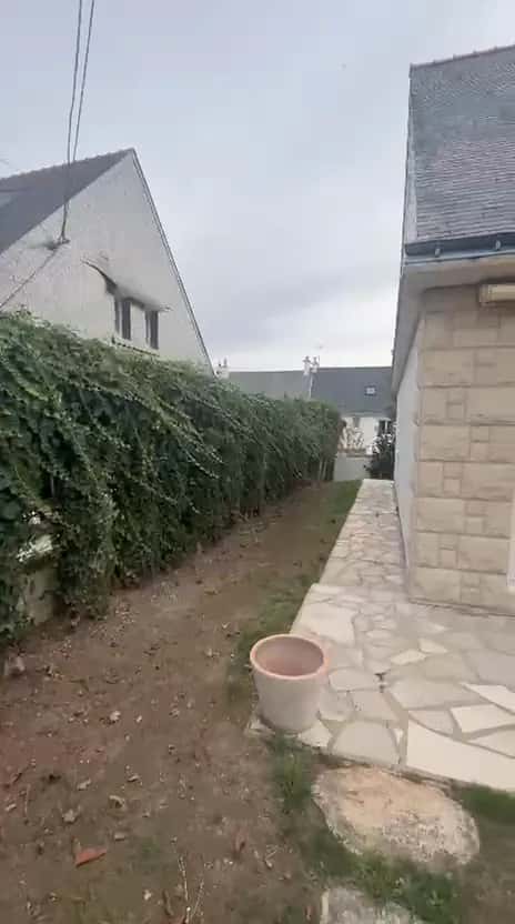 Clôture couverte de lierre le long d'un passage dallé, à côté d'une maison en pierre