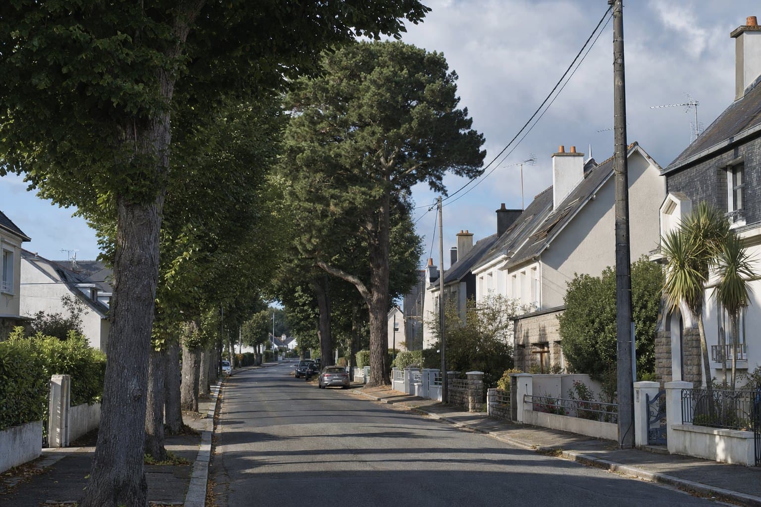 Une rue résidentielle de Lorient bordée de grands arbres, lumière du matin